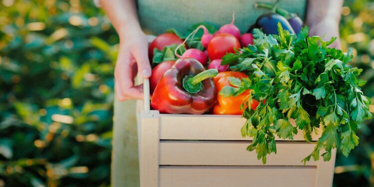 VIDEO | Empresarios están obligados a fabricar alimentos más saludables
