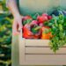 VIDEO | Empresarios están obligados a fabricar alimentos más saludables