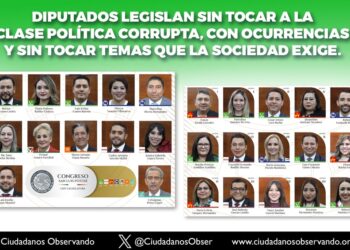 Diputados viven en una burbuja de privilegios, condena Ciudadanos Observando