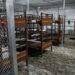 ‘Alligator Alcatraz’ quedará vació en próximos días: NYT
