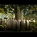 “Fuimos el Amor” un cortometraje realizado en la Huasteca potosina