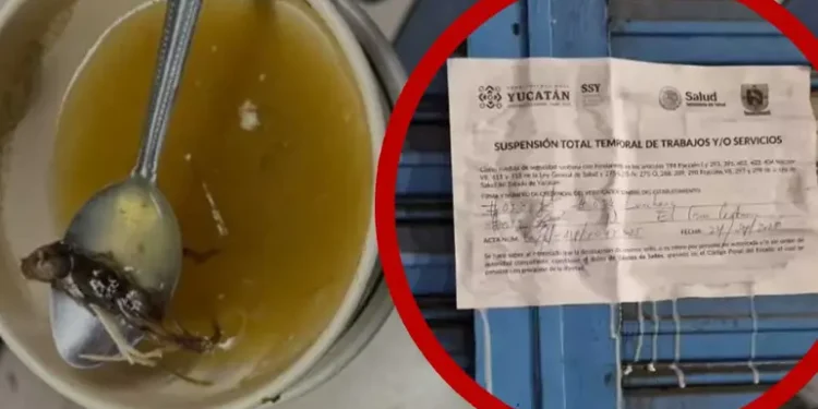 Restaurante en Yucatán es clausurado por servir caldo con un ratón