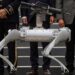 Perro robot armado llega a policía de Zacatecas