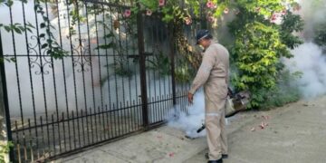 VIDEO | Casos de dengue a la baja en SLP