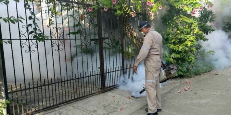 VIDEO | Casos de dengue a la baja en SLP
