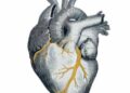 Taller “Reconstruyendo un Corazón Roto” con técnica Kintsugi Cerrando ciclos