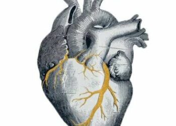 Taller “Reconstruyendo un Corazón Roto” con técnica Kintsugi Cerrando ciclos