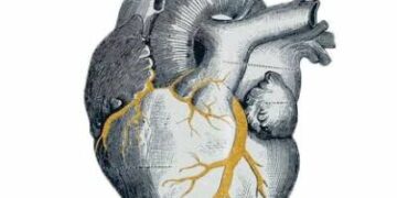 Taller “Reconstruyendo un Corazón Roto” con técnica Kintsugi Cerrando ciclos