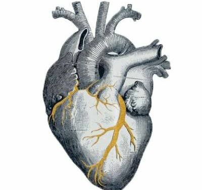 Taller “Reconstruyendo un Corazón Roto” con técnica Kintsugi Cerrando ciclos