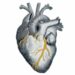Taller “Reconstruyendo un Corazón Roto” con técnica Kintsugi Cerrando ciclos