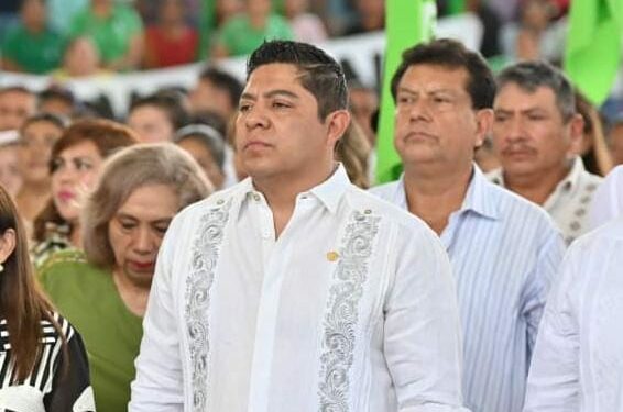 VIDEO | El PVEM va en coalición en las próximas elecciones