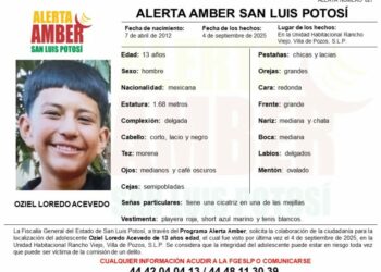Activan Alerta Amber para localizar a adolescente desaparecido en Villa de Pozos