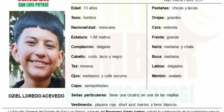 Activan Alerta Amber para localizar a adolescente desaparecido en Villa de Pozos