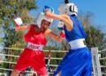 Inicia el Torneo de Box de Fiestas Patrias
