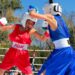 Inicia el Torneo de Box de Fiestas Patrias