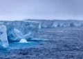 El iceberg más grande del mundo se fractura “rápidamente”, advierten científicos
