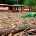  Cuatro escuelas en la huasteca siguen con daños por las lluvias