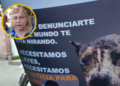 Piden endurecer penas contra el maltrato animal