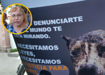 Piden endurecer penas contra el maltrato animal