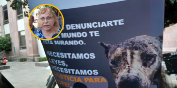 Piden endurecer penas contra el maltrato animal