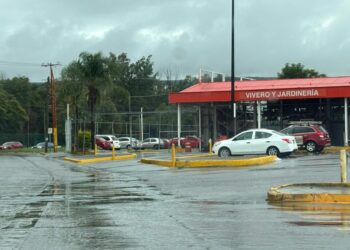Denuncian asaltos a usuarios en falsos taxis