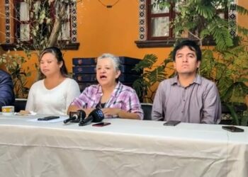 Organizaciones civiles piden que consultas a personas con discapacidad no sean solo simulaciones