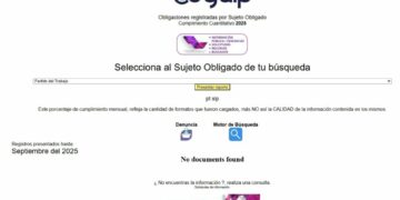 Ciudadanos Observando reprueban opacidad del PT
