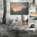 Exposición colectiva “Aprender a mirar” continúa en el CEART