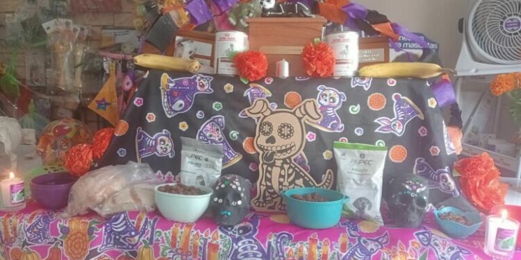 27 de octubre: el día en que regresan las almas de las mascotas