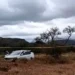 Abaten a dos presuntos sicarios en Ahualulco