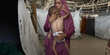 Celebridades, políticos y escritores judíos piden sancionar a Israel por el genocidio en Gaza