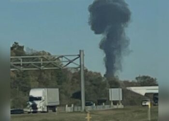 VIDEO | Tres mexicanos murieron en avionazo en Michigan, confirma SRE