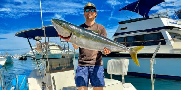 Localizan en Baja California Sur el cuerpo de Mikey Rijavec, influencer estadounidense que pidió ayuda días antes