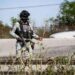 Atacan a fuerzas federales en Guasave, Sinaloa; Harfuch reporta 13 agresores muertos