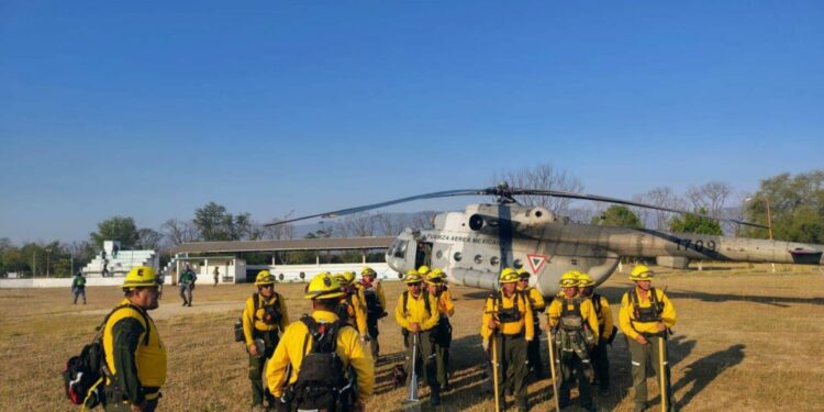 Reconocen reformas para fortalecer la prevención y manejo de incendios forestales en SLP