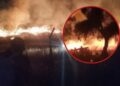 Incendio en Teotihuacán: llamas queman pastizales detrás de la Pirámide de la Luna