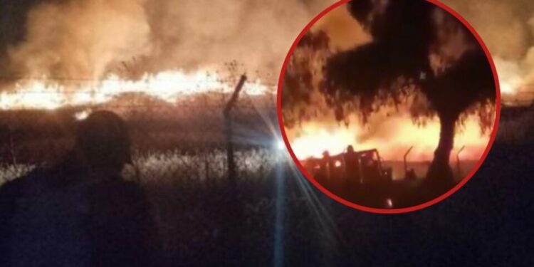 Incendio en Teotihuacán: llamas queman pastizales detrás de la Pirámide de la Luna