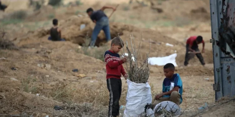 Israel ha asesinado a 239 palestinos en lo que va de ‘tregua’