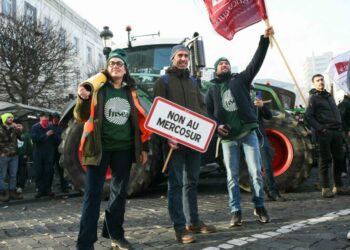Protestas masivas de agricultores contra el acuerdo con el Mercosur paralizan Bruselas durante la cumbre de la Unión Europea