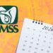 Esta es la fecha en la que darán el primer pago de 2026 de la pensión del IMSS