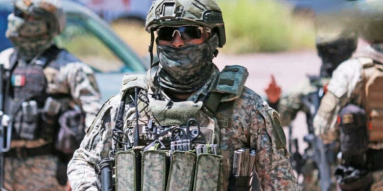 García Harfuch crea cuerpo élite federal para operativos contra el crimen organizado