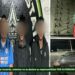 Detienen en Guadalupe a cuatro presuntos generadores de incidencia criminal con “poncha llantas”