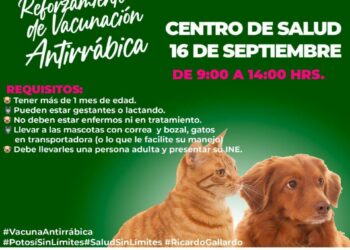 Instalarán macro puntos de vacunación antirrábica del 1 al 12 de diciembre