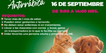 Instalarán macro puntos de vacunación antirrábica del 1 al 12 de diciembre