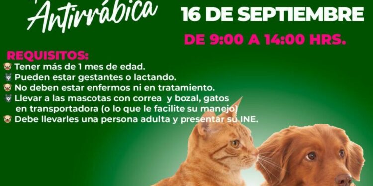 Instalarán macro puntos de vacunación antirrábica del 1 al 12 de diciembre