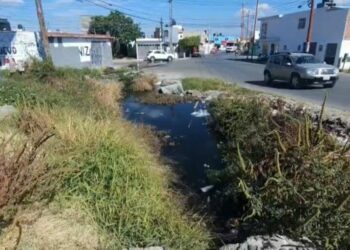 Vecinos de Laureles del Sur denuncian inundaciones, focos de infección y omisión de Interapas