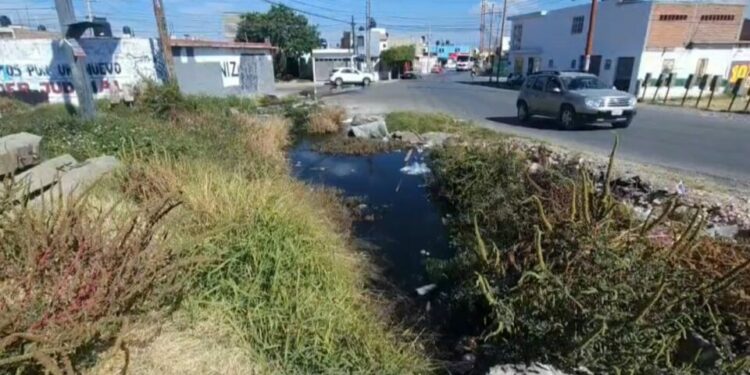 Vecinos de Laureles del Sur denuncian inundaciones, focos de infección y omisión de Interapas