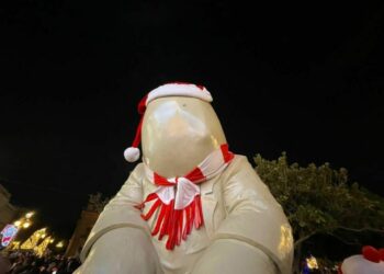 Ni los “Timos” se salvaron de robos en San Luis Amable