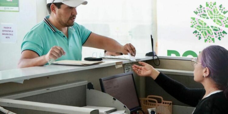 Sefin garantiza atención en oficinas recaudadoras durante la temporada decembrina