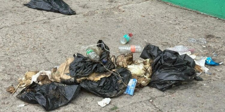 Acumulación de basura genera inconformidad ciudadana en la capital potosina